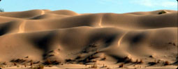 Dunes du désert Tunisien