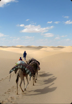 Marche dans le désert tunsien